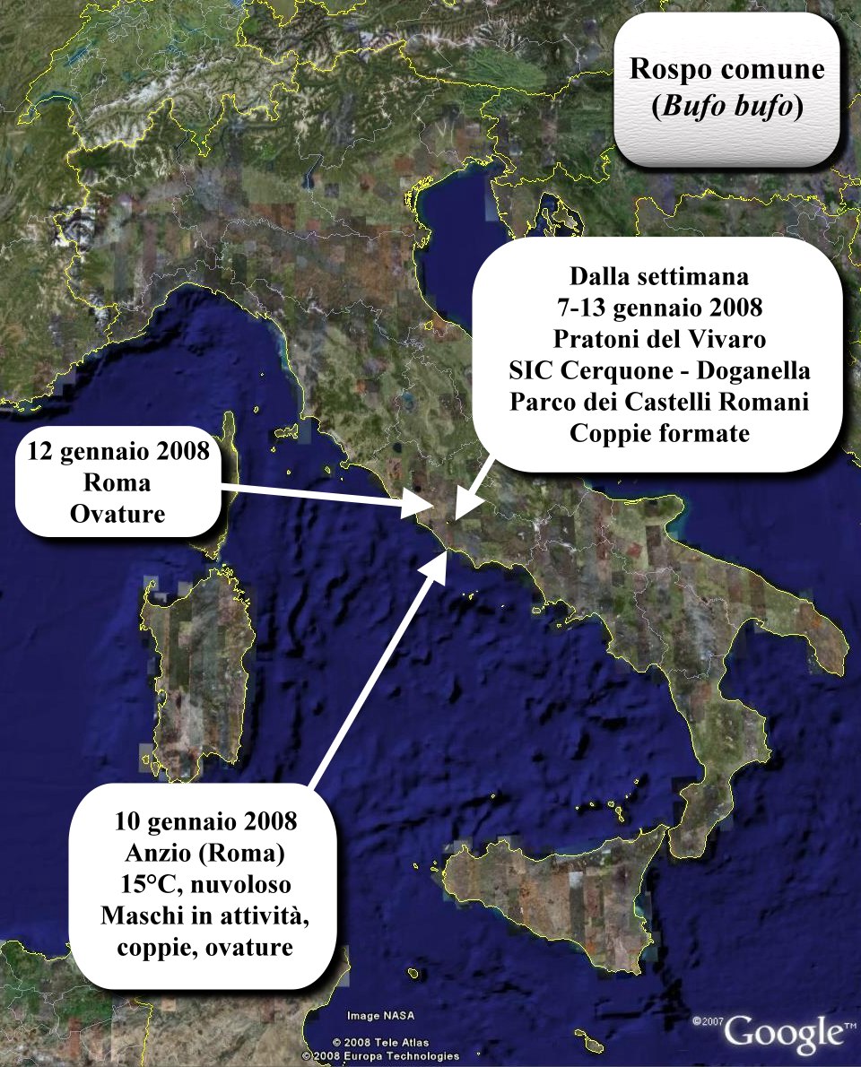 Avvistati Anfibi? Dove? Quando?